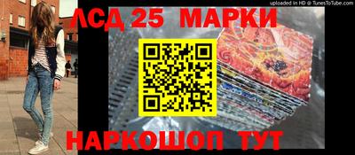 гидропоника Аргун