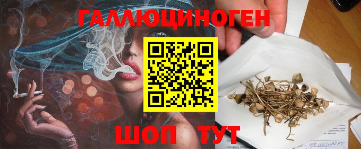 Псилоцибиновые грибы прущие грибы Волжский